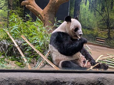 恩賜上野動物園に投稿された画像（2026/1/5）