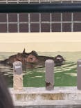 恩賜上野動物園に投稿された画像（2026/1/5）