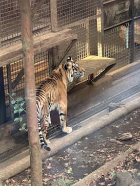 恩賜上野動物園に投稿された画像（2026/1/5）