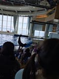 アクアワールド茨城県大洗水族館に投稿された画像（2026/1/5）