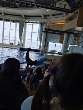 アクアワールド茨城県大洗水族館に投稿された画像（2026/1/5）