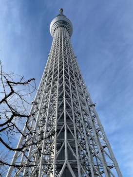 東京スカイツリーに投稿された画像（2026/1/5）