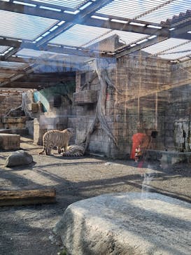 東武動物公園に投稿された画像（2026/1/5）