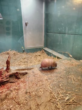 東武動物公園に投稿された画像（2026/1/5）