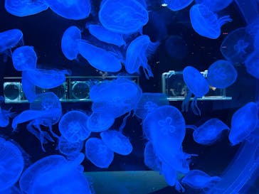 AOAO SAPPOROに投稿された画像（2026/1/5）