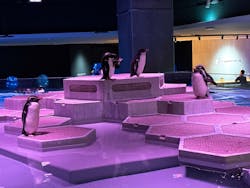 AOAO SAPPOROに投稿された画像（2026/1/5）