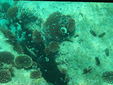 川平マリンサービスに投稿された画像（2026/1/5）