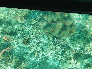 川平マリンサービスに投稿された画像（2026/1/5）