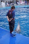 大分マリーンパレス水族館 「うみたまご」に投稿された画像（2026/1/5）