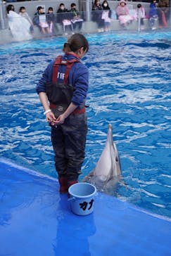 大分マリーンパレス水族館 「うみたまご」に投稿された画像（2026/1/5）