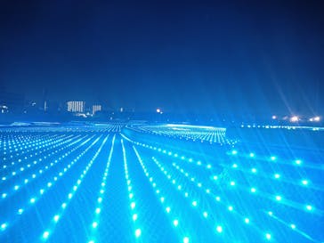 東京メガイルミに投稿された画像（2026/1/5）