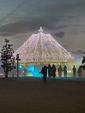 東京メガイルミに投稿された画像（2026/1/5）