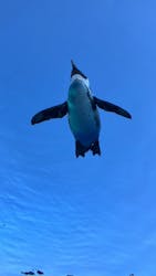 サンシャイン水族館に投稿された画像（2026/1/5）