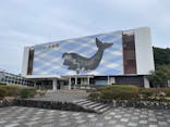 太地町立くじらの博物館に投稿された画像（2026/1/5）