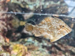 環境水族館アクアマリンふくしまに投稿された画像（2026/1/5）