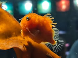 環境水族館アクアマリンふくしまに投稿された画像（2026/1/5）