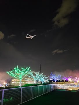 東京メガイルミに投稿された画像（2026/1/5）