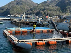 あわしまマリンパークに投稿された画像（2026/1/5）