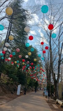 ムーミンバレーパークに投稿された画像（2026/1/5）