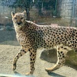 多摩動物公園に投稿された画像（2026/1/5）