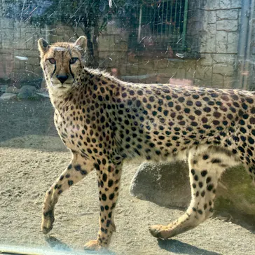 多摩動物公園に投稿された画像（2026/1/5）