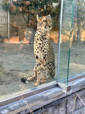 多摩動物公園に投稿された画像（2026/1/5）