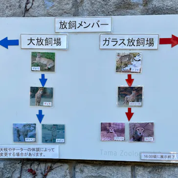 多摩動物公園に投稿された画像（2026/1/5）