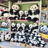 恩賜上野動物園に投稿された画像（2026/1/5）