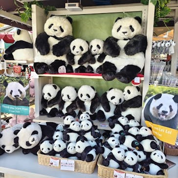 恩賜上野動物園に投稿された画像（2026/1/5）