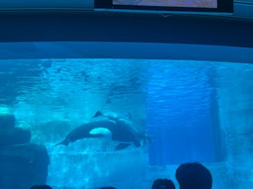 名古屋港水族館に投稿された画像（2026/1/5）
