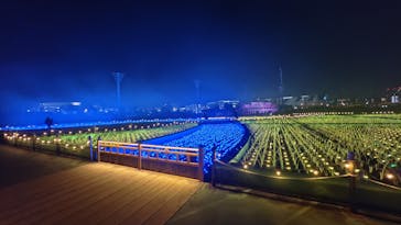 東京メガイルミに投稿された画像（2026/1/5）