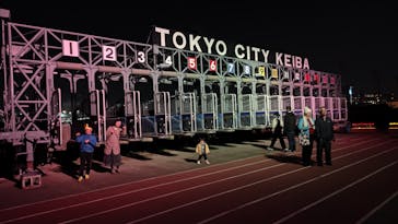 東京メガイルミに投稿された画像（2026/1/5）