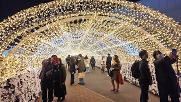 東京メガイルミに投稿された画像（2026/1/5）