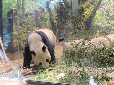 恩賜上野動物園に投稿された画像（2026/1/5）