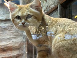 那須どうぶつ王国に投稿された画像（2026/1/5）