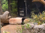 恩賜上野動物園に投稿された画像（2026/1/5）