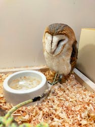 アニタッチららぽーと名古屋みなとアクルスに投稿された画像（2026/1/5）