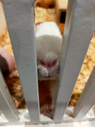 アニタッチららぽーと名古屋みなとアクルスに投稿された画像（2026/1/5）