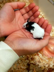 アニタッチららぽーと名古屋みなとアクルスに投稿された画像（2026/1/5）