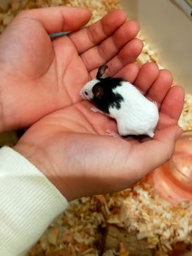 アニタッチららぽーと名古屋みなとアクルスに投稿された画像（2026/1/5）