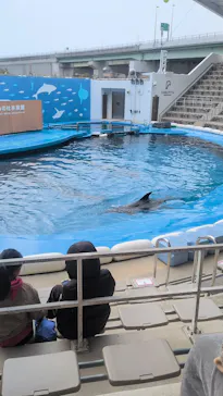 仙台うみの杜水族館に投稿された画像（2026/1/5）
