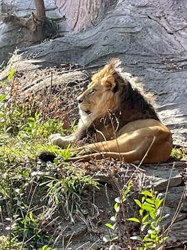 名古屋市東山動植物園に投稿された画像（2026/1/5）