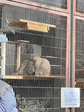 名古屋市東山動植物園に投稿された画像（2026/1/5）