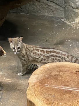 名古屋市東山動植物園に投稿された画像（2026/1/5）