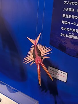特別展「大絶滅展―生命史のビッグファイブ」に投稿された画像（2026/1/5）