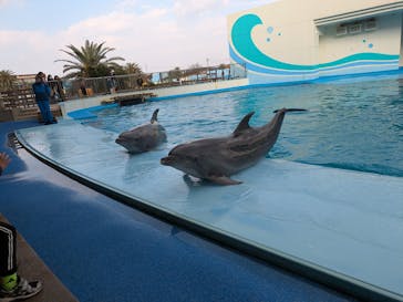 南知多ビーチランド＆南知多おもちゃ王国に投稿された画像（2026/1/5）