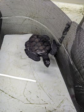 南知多ビーチランド＆南知多おもちゃ王国に投稿された画像（2026/1/5）