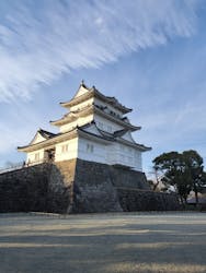 小田原城に投稿された画像（2026/1/6）