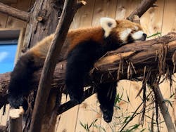 伊豆シャボテン動物公園に投稿された画像（2026/1/6）