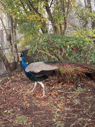 伊豆シャボテン動物公園に投稿された画像（2026/1/6）